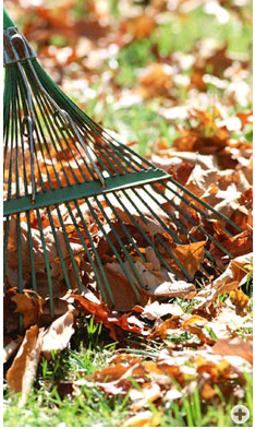 Free Autumn Gardening Tips