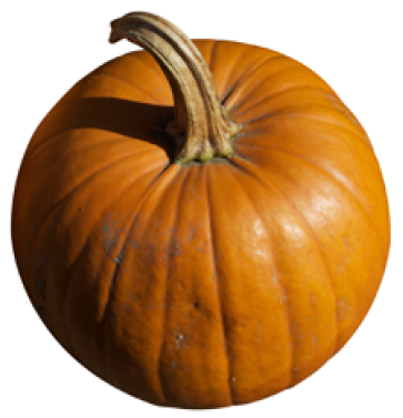 Free Downloadable Pumpkin Recipes