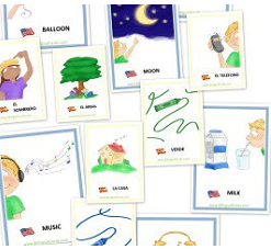 Free Sample of BLINGuals Flash Cards