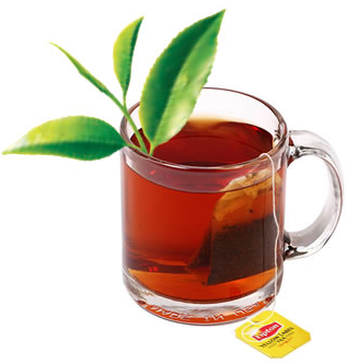 Free Lipton Green Tea w/ Superfruit Flavors Sample