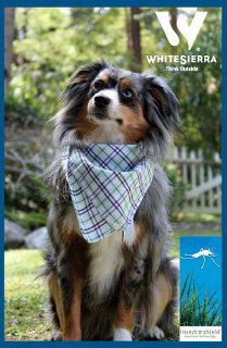 Free White Sierra Insect Shield Bandana