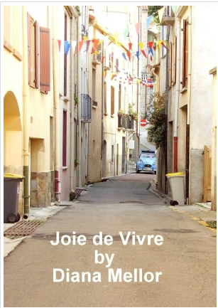 Free Nook Book: Joie de Vivre 