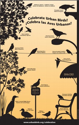 Free Celebrate Urban Birds Kit