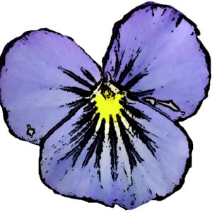 Free Android App: ColorBook