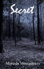 Free Kindle Book: Secret