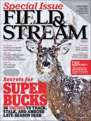 Free Field and Stream Magazine Subscription