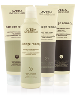 Enter To Win Free Aveda Hair Care Samples