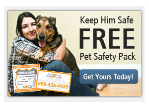 FREE ASPCA Pet Safety Kit