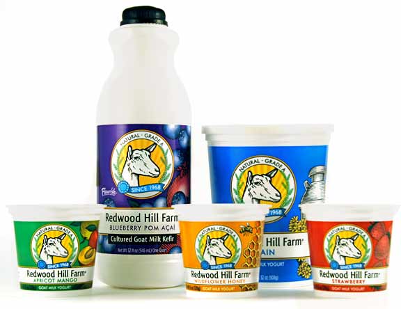 Free Redwood Hill Cup Of Yogurt