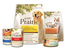 Free Sample Dog Food