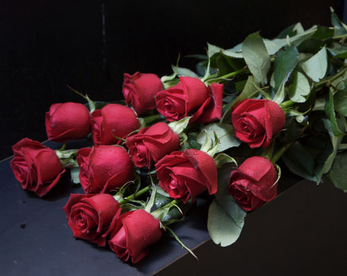 Win Dozen Roses
