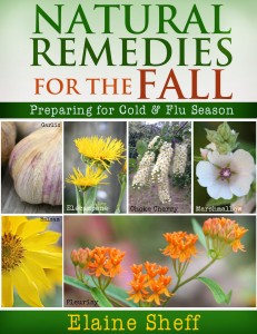 Free-Kindle-Natural-Remedies-For-Fall