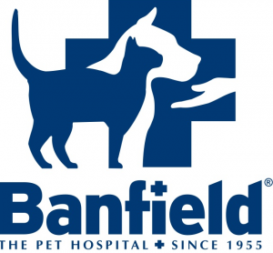 free-pet-exam-banfield