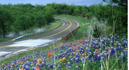 Free Roadsides In Bloom 2016 Calendar