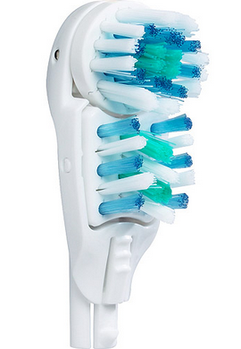 Free Oral B Brush Heads (CVS)