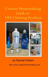 Free Kindle DIY Cleaning guide