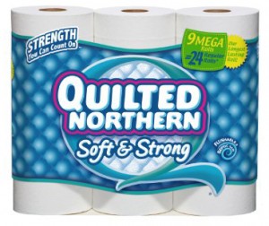 quilted-northern-9