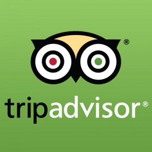 Free Pin TripAdvisor