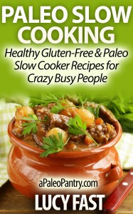 Free Kindle Paleo Slow Cooking
