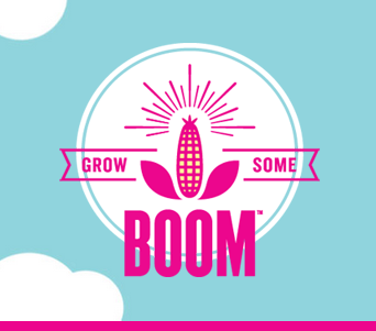 Free Organic Popcorn Seeds from BoomChickaPop