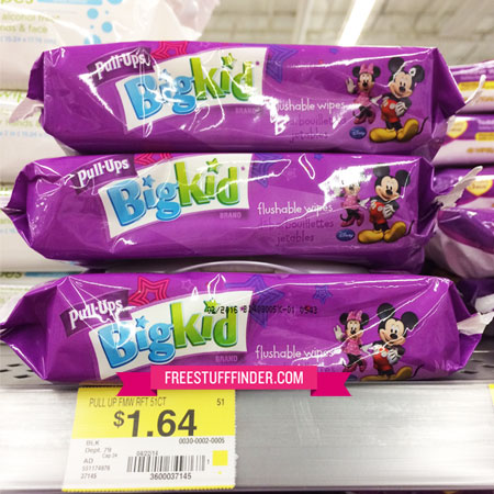 Pull-Ups-Big-Kid-Flushable-Wipes--Site