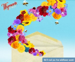 Free Wyman’s Wildflower Seeds