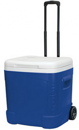$24.44 Igloo Cooler + Free In-Store Pick Up