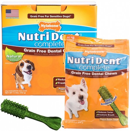 $7.00 Nylabone Dog Treat Coupons