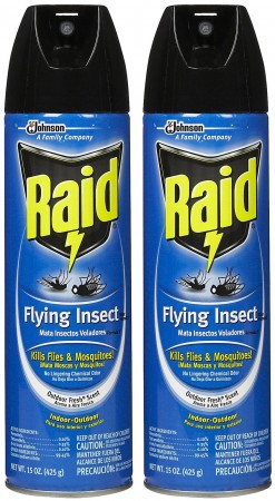 $2.49 ($7.99) Raid Spray at Rite Aid
