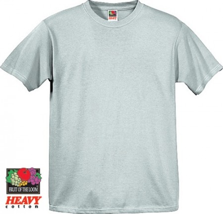 $2.50 Fruit of the Loom T-Shirts at Walgreens