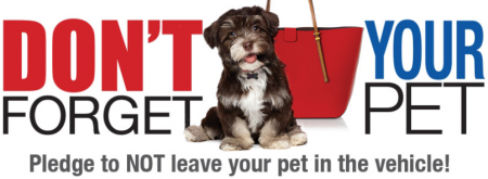 Free Don't Forget Your Pet Sticker