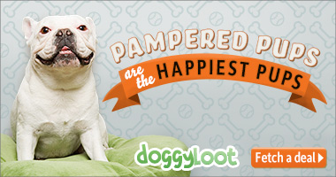 doggyloot