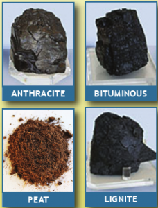 Coal