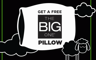 Free The Big One Pillow at Kohl's (Today & Tomorrow!)