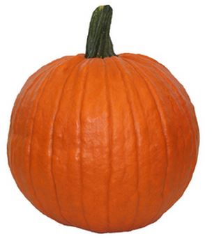 $1.00 (Reg Up to $7) Pumpkins at Lowe's