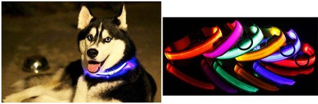 LED-Safety-Dog-Collar