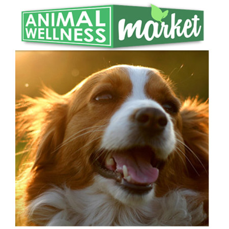 free-animal-wellness-pet-sample