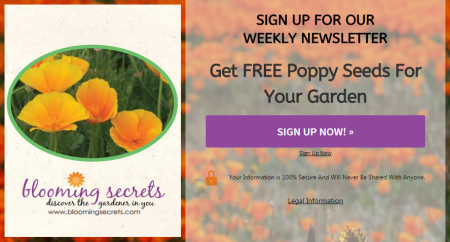 free-poppy-seeds