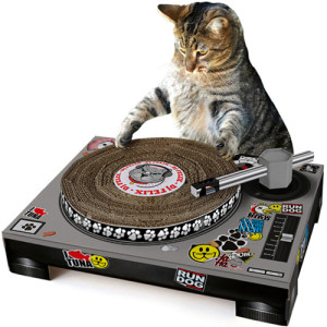 CATS-1158