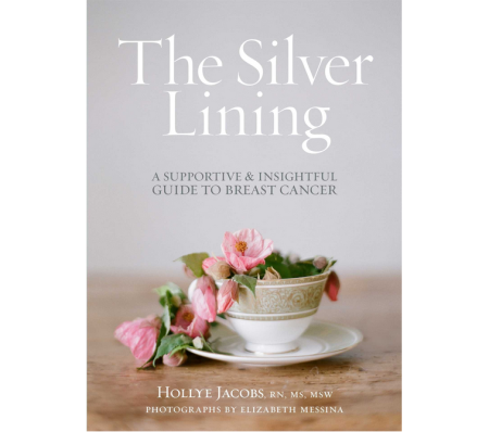 Free-The-Silver-Lining-Book-by-Hollye-Jacobs