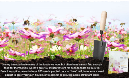 FREE Wildflower Mix Seed Packet