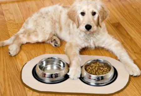 pet-bowel-mat
