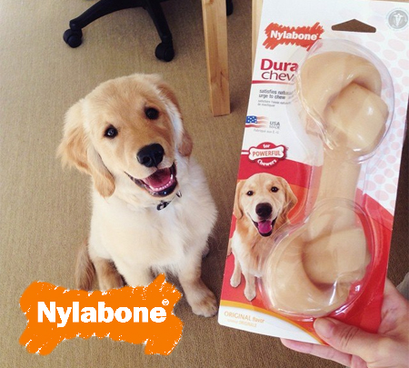 nylabone