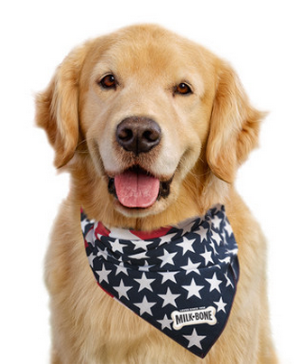 Free Milkbone Dog Bandana
