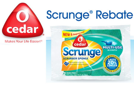 Sponge-Image