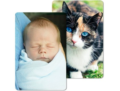 FREE Custom Photo Magnet (Just Pay $1.99 Shipping)