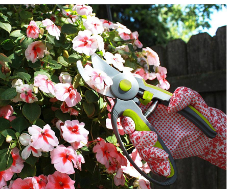 Gardening