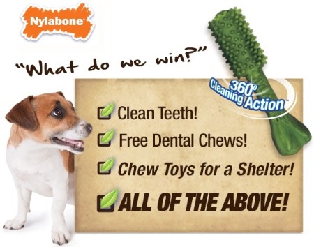nylabone-sweeps