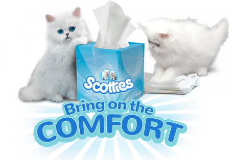 scotties-comfort-sweeps1