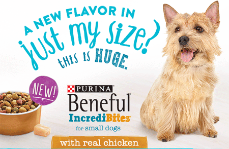 Free Sample Beneful IncrediBites + Coupon